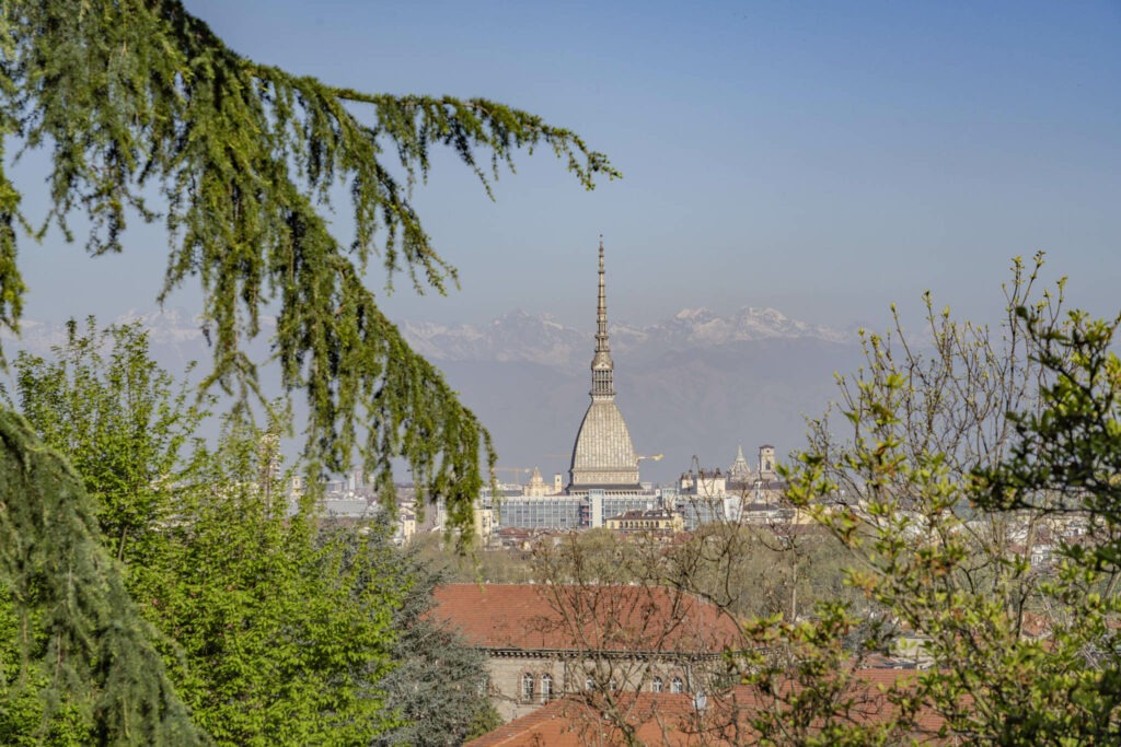 Foto Stampa