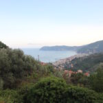 Villa in collina con splendida vista mare Alassio - DS-15181 - Miniatura 28